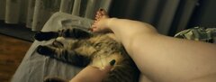 Two Pussies