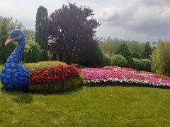 20200718_124235.jpg