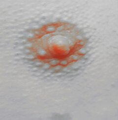 20201229_012010.jpg