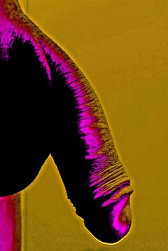 20201228_221547.jpg