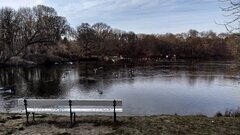 IMG_20201227_124142.jpg