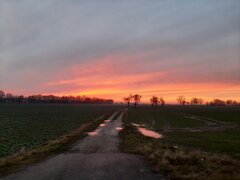 20201230_152732.jpg