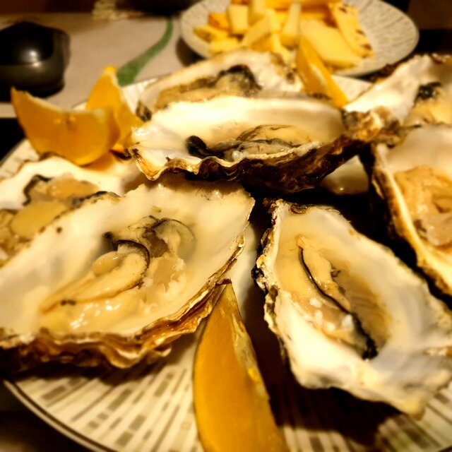 dzikusy76