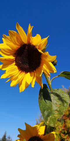 IMG_20191020_102700.jpg