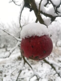 IMG_20201129_135647.jpg