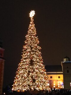 IMG_20210103_181231193.jpg