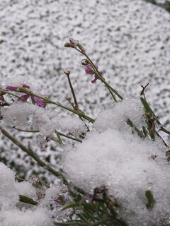 IMG_20201129_083924192_BURST002.jpg