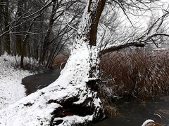 20210104_145059.jpg