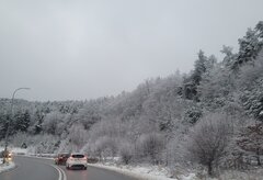 20210104_083815.jpg