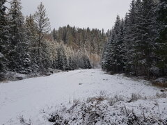 20210106_102908.jpg