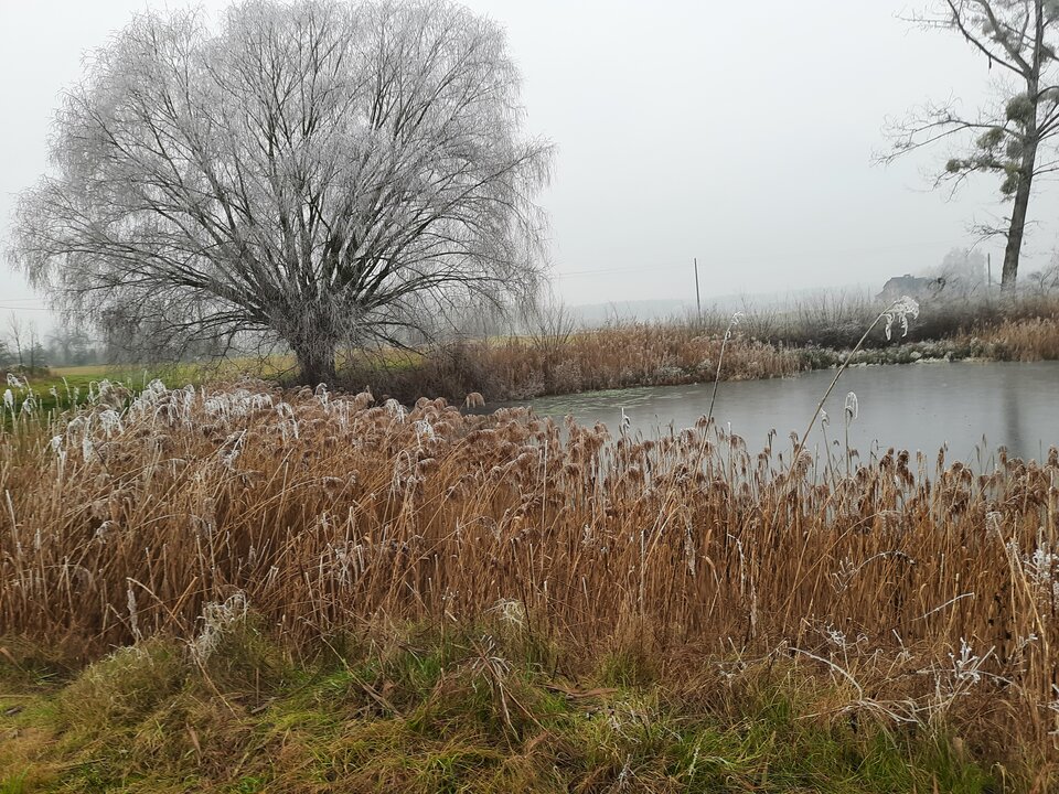 20210102_142826.jpg - znik_am