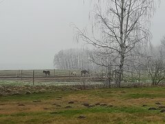 20210102_142948.jpg
