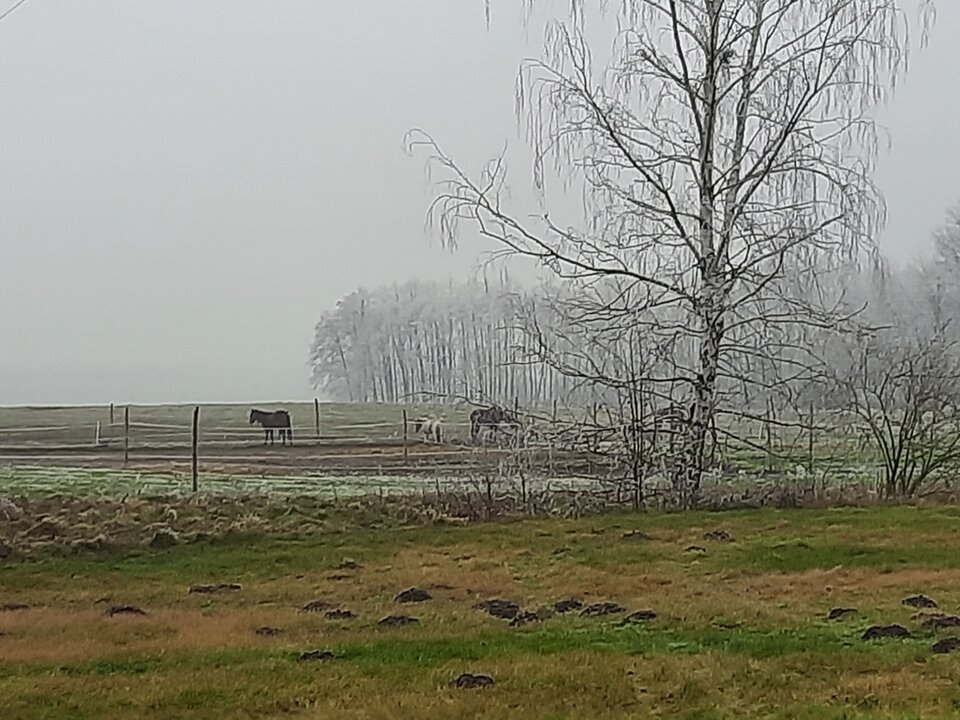 20210102_142948.jpg - znik_am