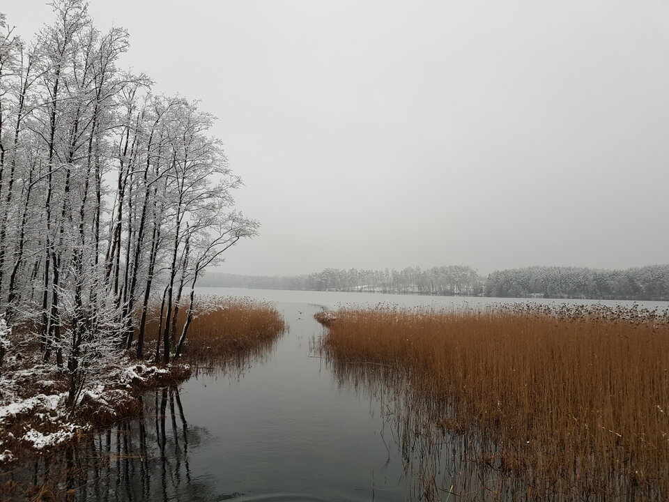 20210107_144536.jpg - SwikB