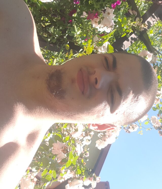 Blemd1