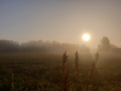 20190922_072349.jpg
