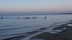20201231_141210.jpg