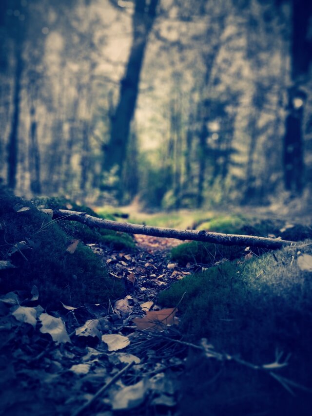 para_kochankow
