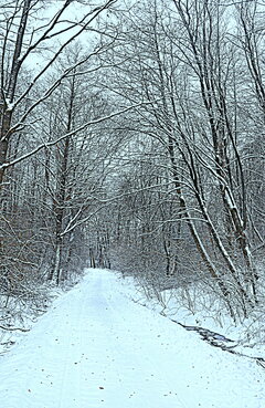 DSC_4251.JPG