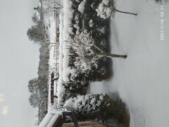 IMG_20210114_082524.jpg