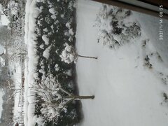 IMG_20210114_082520.jpg