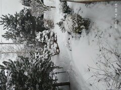 IMG_20210114_082831.jpg
