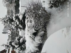 IMG_20210114_082849.jpg
