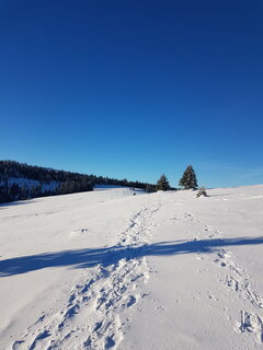 20200112_085016.jpg