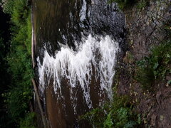 20190721_173229.jpg