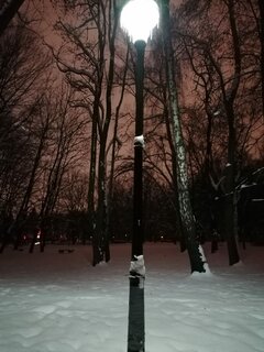 To nie Narnia.