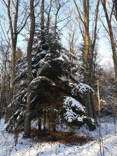 20210117_140452.jpg