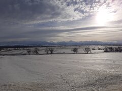20210121_135938.jpg