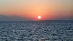 20201108_060613.jpg