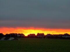 IMG_20210122_073649274_HDR.jpg