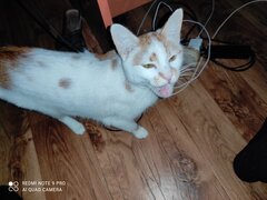 IMG_20210110_180227.jpg