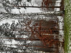 20210124_135556.jpg
