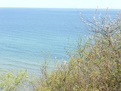 P1010377.JPG