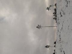 20210125_130925.jpg