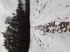 20210125_130948.jpg