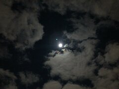 IMG-20210127-WA0002.jpg