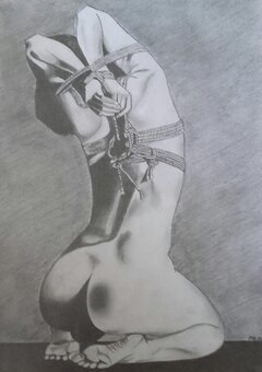Art of bondage.jpg