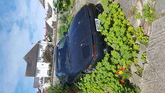 20200830_142219.jpg