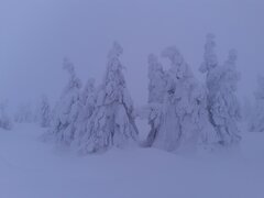 20210114_153528.jpg