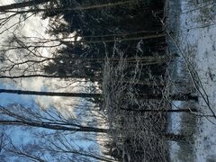 20210130_123719.jpg