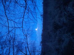 20210128_170519.jpg