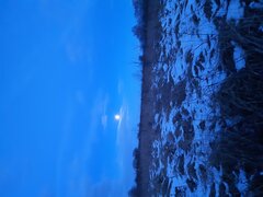 20210128_170413.jpg