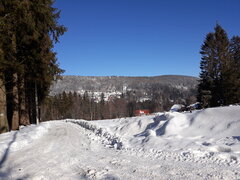 20210131_110419.jpg