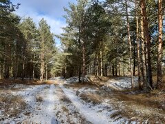 20210131_133454.jpg