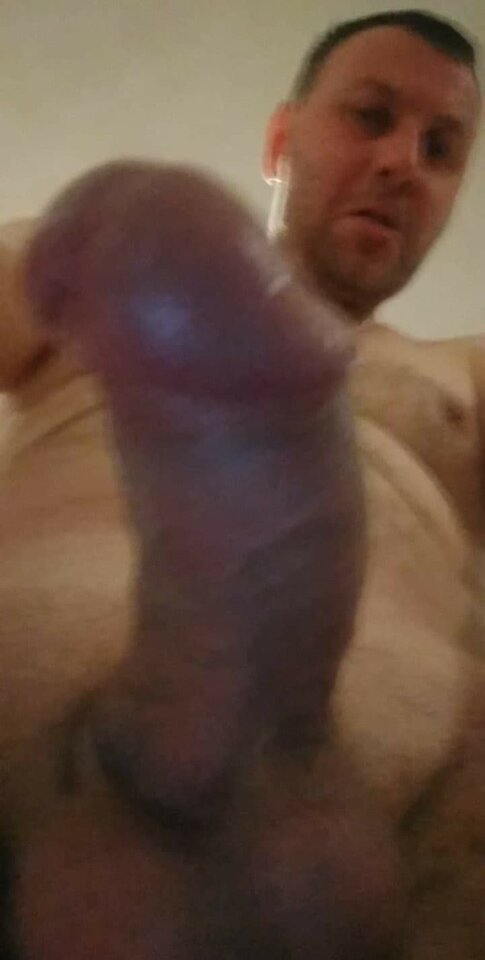 received_439299383929600.jpeg - holywood