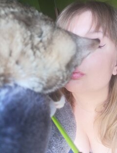 Kici kici 🐈
